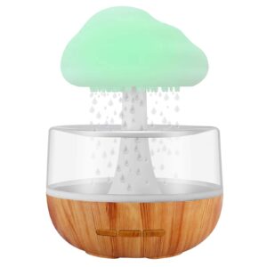 Rain Cloud Humidifier- রেইন ক্লাউড হিউমিডিফায়ার
