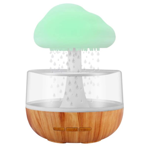 Rain Cloud Humidifier- রেইন ক্লাউড হিউমিডিফায়ার